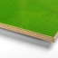 Riga Prime Green